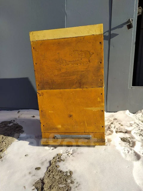 ����. ����