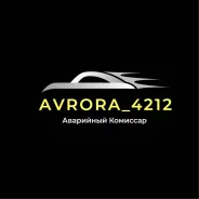 ��������� ��������. ��� �AVRORA_4212�. ����� ����� ������ 166 ����