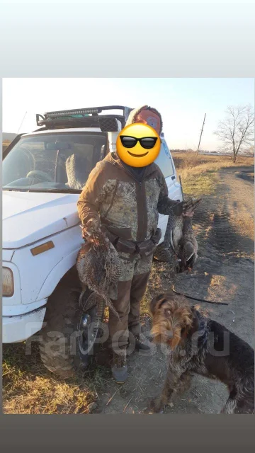 ��������. ����