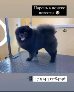����������� ����. ����