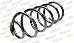 ������� ������� ����� | ����� ����/��� | Standard Springs ST102002F ST102002F ����