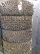 Nordman 5. ������, ����������, 2019 ���, �/�, ����� 70 % ����