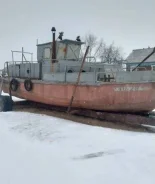 ������. 1981 ���, ����� 9��., ��������� ������������, 55��.�., ������ ����