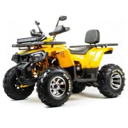 Motoland Wild Track X Pro. ��������, ��� ���\���, ��� ������� ����