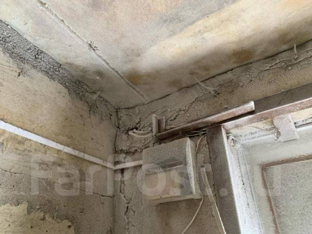 Сувель березовая структура. Кап ем. Кап сувель ясеня. Сувель березовый в разрезе. Сувель кедровый.