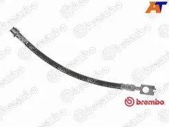 ����� ��������� Brembo T85116 T85116 ����