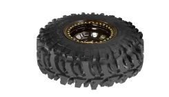 Accelera Badak X-Treme. ����� mt, �/�, ����� �� 5 % ����