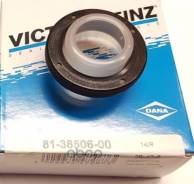   Victor Reinz 813850600 813850600 
