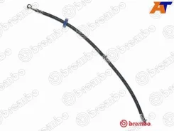 ����� ��������� T79008 T79008 ����