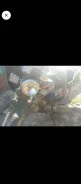 Alpha 110. 110����. ��., ����������, ��� ���, ������ �� �� ����