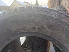 Winter Tact. �����������, 2022 ���, �/�, ����� �� 5 % ����