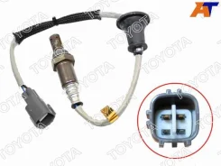 ������ ����������� 89465-42190 8946542190 ����
