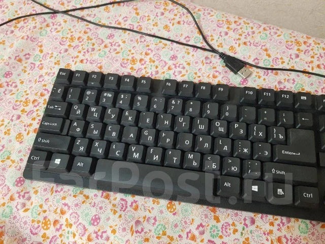 ����������. ����