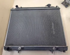 �������� �������� Nissan Elgrand [21460WL000] 21460WL000 ����