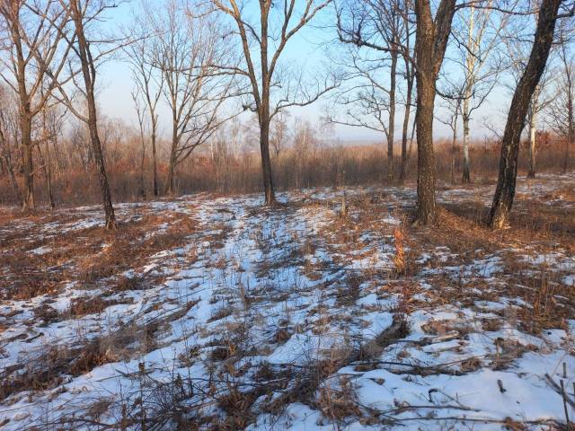 Р 0 01. 00 (0-1 мпа)-g1/4-1,5 росма. Насос ручной рпн 1,3-30 для откачки конденсата. Манометр тм-310р. 1.