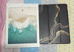 Apple iPad Pro 12.9 2017. 12.2 ������, ������ 256 �� ����