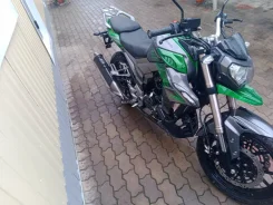 Regulmoto T-Leopard 300. 300����. ��., ��������, ���������, ������ �� �� ����