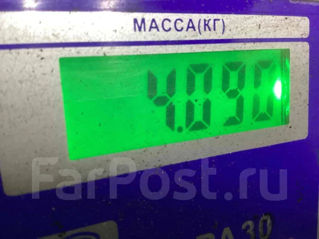 ������� Renault Laguna 2005 8200237594 8200237594 ����