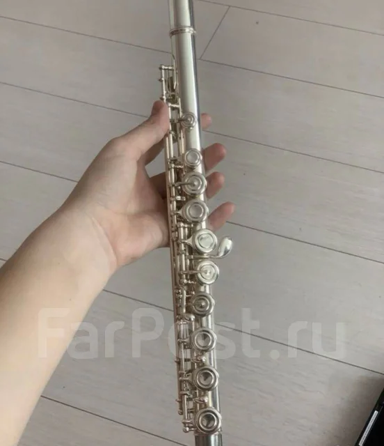 ������. ����