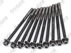 ����� � ����� /TI-GUAR ��� Peugeot 4007 /2007-2012, Citroen C-Crosser /������ M11 /��� ������ 1,5 /����� 165��, 161��. ; TG-CHB072-SET; 0204E3 8104190...