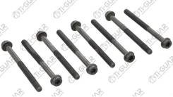   () TG-CHB100-SET * TiGUAR Ti-Guar TGCHB100SET 