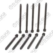 ����� � ����� /TI-GUAR ��� Volkswagen Transporter T5 Passat B5 Audi A4 (B7); ���. 10/ ������ M12/ ��� ������ 1.75/ ������ 166��. ; TG-CHB141-SET; 0381...