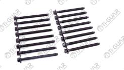    / Ti-GUAR  Citroen Peugeot LR Jaguar C5 Range Rover Velar XF 276DT 306DT; . 8/  M13/   1,5/  160. ; TG-CHB1...