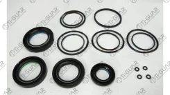 ����������� ������� ����� /TI-GUAR ��� Nissan Pathfinder R50 1995-2004 Terrano Infinity QX 4 1996-2002; TG-49200-4W000; (NI9027KIT) NI220R Tiguar TG-4...