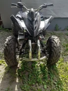 Irbis TTR 250. ��������, ��� ���\���, �� ����