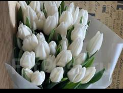 ��������. ����