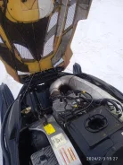 BRP Ski-Doo Expedition TUV. ��������, ��, �� ����