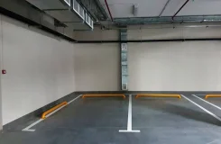 ����� �����������. . ��� ������ ����