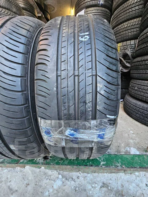 Dunlop Enasave EC300+. ������, 2019 ���, �/�, ����� �� 5 % ����