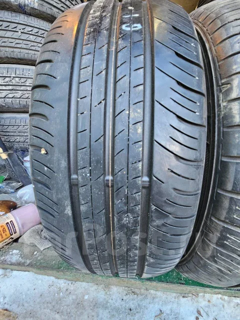 Dunlop Enasave EC300+. ������, 2019 ���, �/�, ����� �� 5 % ����