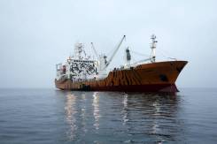 Крюинги Владивостока - список морских и крюинговых компаний на сайте Maritime-zone