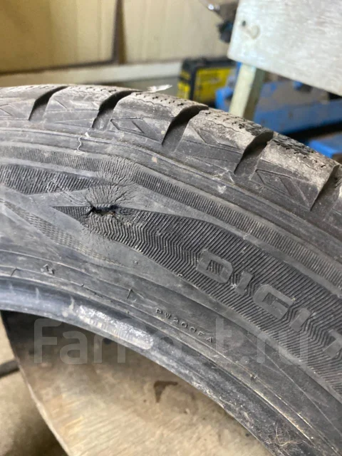 Dunlop Winter Maxx. ������, ����������, �/�, ����� 5 % ����