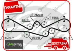 ������ ��� Gates 5537XS (T304) � ��������� � ��������� [5537XS] 5537XS ����