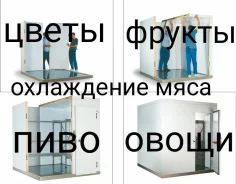 ������ ������ ���������������. ����