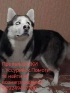 �����. ����