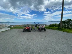 Sharmax Cross 180. ��������, �� ����