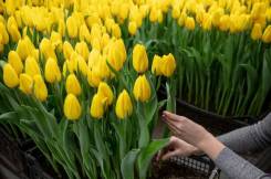 ��������. ����