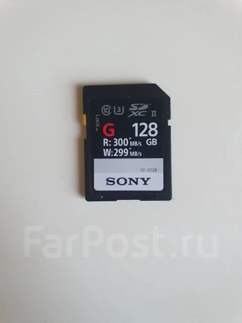 Sony FDR-AX100E ����