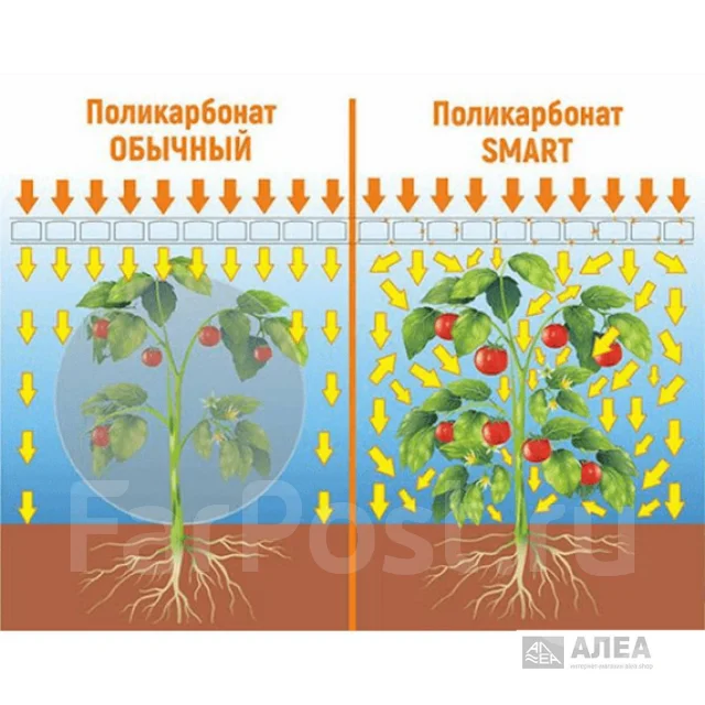 Сотовый поликарбонат Polygal Smart 4 мм прозрачный Практичный, в ...