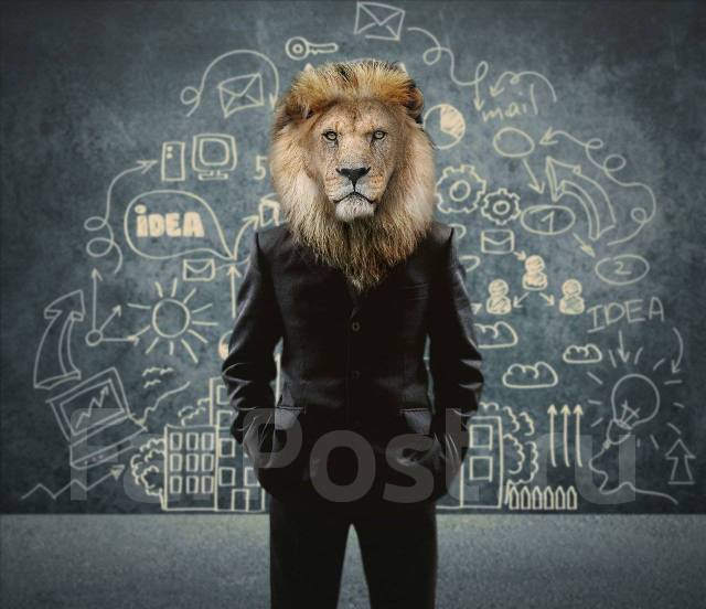 Личный ассистент руководителя (Помощник руководителя), работа в ИП ...