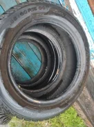 Sava Trenta. ������, ����������, 2020 ���, �/�, ����� 40 % ����