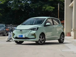 ������ ������ ��� ���� ����� ��� ������ 2020-�. � ����