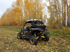BRP Can-Am Maverick DPS. ��������, ��, �� ����