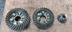 �������� ���������. ����