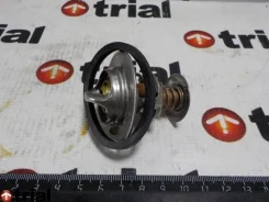 ��������� ���� Dyna [21477] 21477 ����