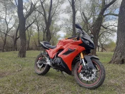 Falcon. 250����. ��., ��������, ���������, ������ �� �� ����